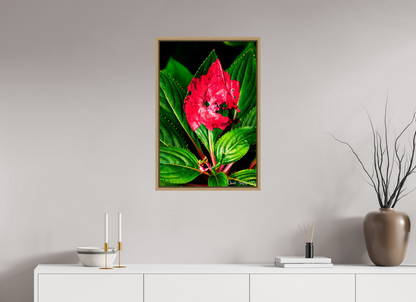 20 x 30″, Floater Frame Natural Oak Subsume