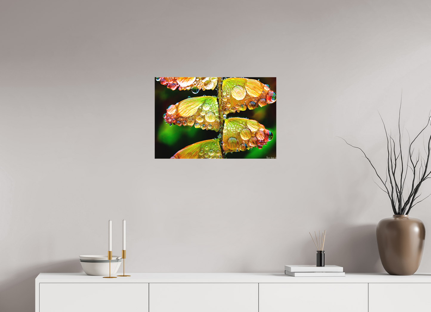 24 x 16″, Matte Canvas Monarch’s Abundance