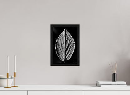 8 x 12″, Floater Frame Black Oak Eclipse
