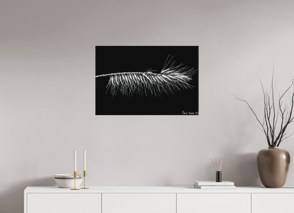 30 x 20″, Matte Canvas Hallucigenia