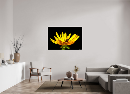 54 x 36″, Glossy Canvas Sweet Dreams