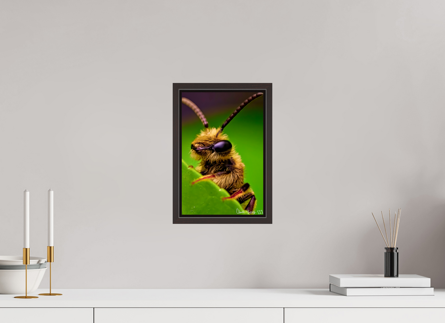 8 x 12″, Floater Frame Alder Brown The Cutest Bee