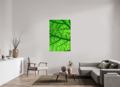 36 x 54″, Matte Canvas Rivers & Streams