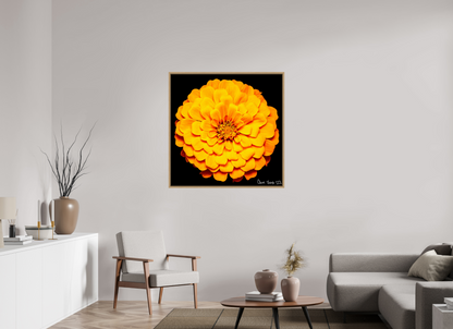 40 x 40″, Floater Frame Natural Oak Midnight Sun