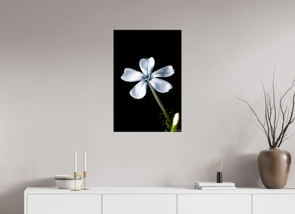 20 x 30″, Acrylic Silver Petals