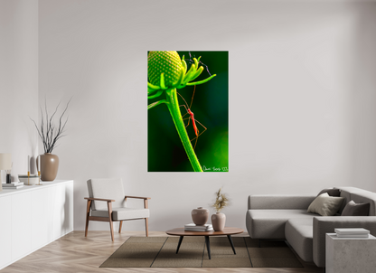 44 x 66″, Glossy Canvas Reaching the Apex