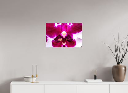 24 x 16″, Glossy Canvas Droid Orchid