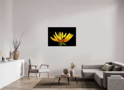45 x 30″, Floater Frame Black Oak Sweet Dreams