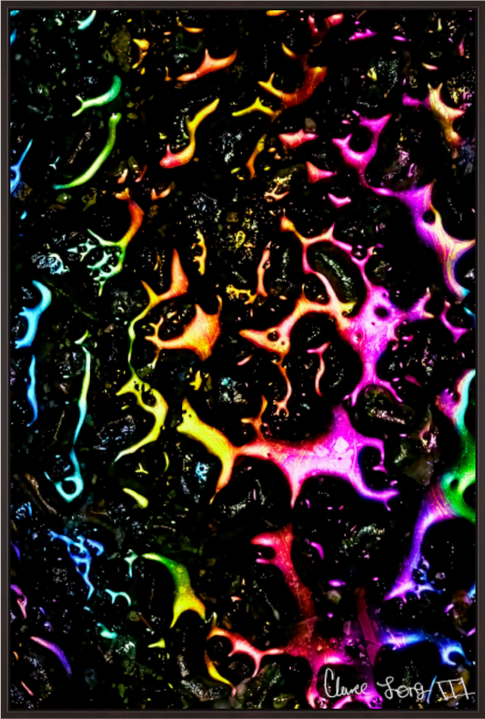 Main image Petroleum Rainbow