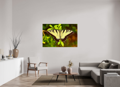 60 x 40″, Photo Print on Aluminum Backing Angel's Landing