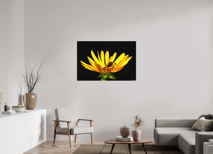 45 x 30″, Matte Canvas Sweet Dreams