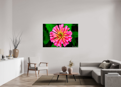 60 x 40″, Glossy Canvas Peach Summer