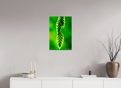 16 x 24″, Glossy Metal Harmonic Trinity