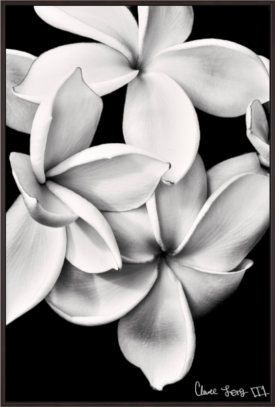 Main image Floral Abyss