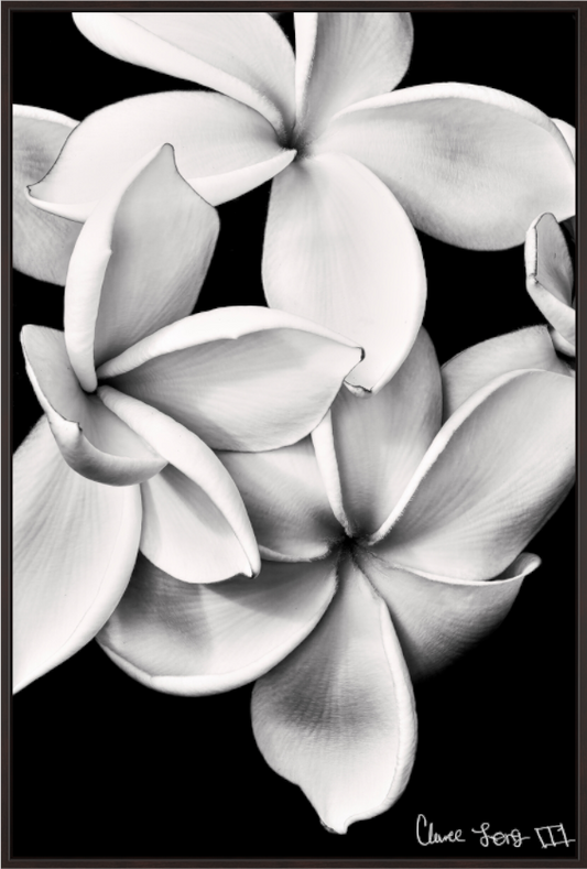 Main image Floral Abyss