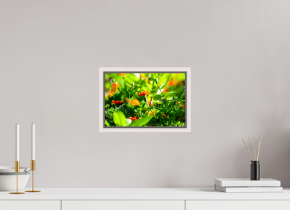 12 x 8″, Floater Frame Maple White Prominence