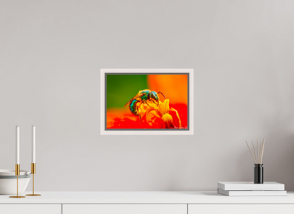 12 x 8″, Floater Frame Maple White Salt Licker