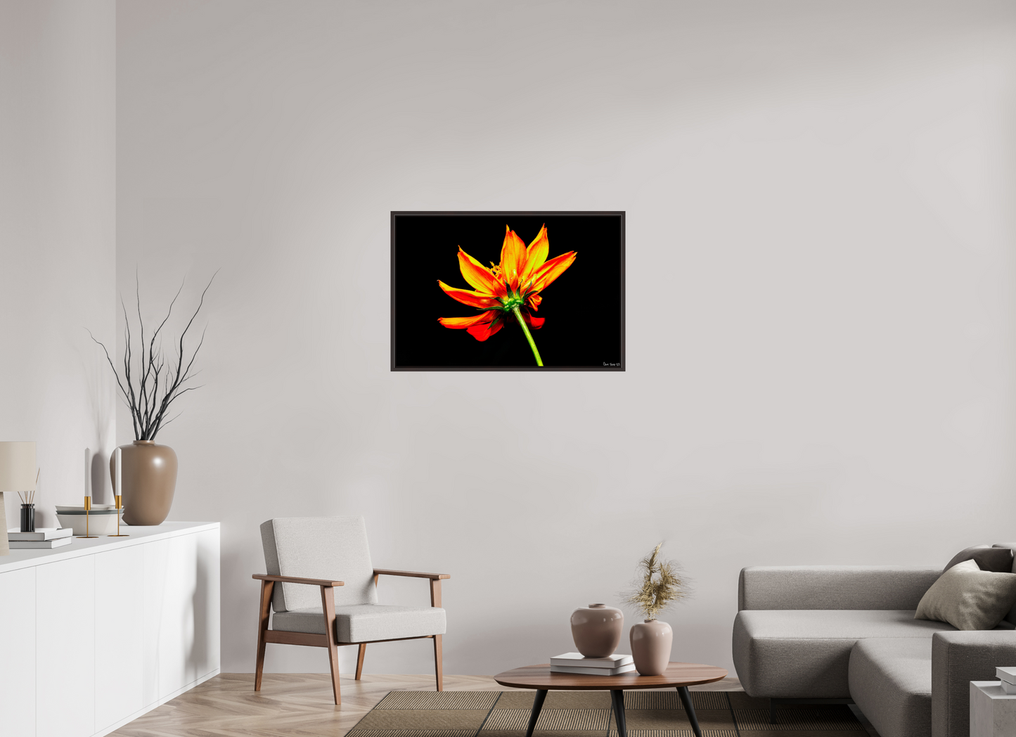 36 x 24″, Floater Frame Alder Brown Soaring Phoenix