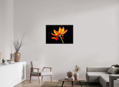 36 x 24″, Floater Frame Alder Brown Soaring Phoenix