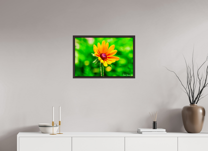 24 x 16″, Floater Frame Alder Brown Stillness in the Blur