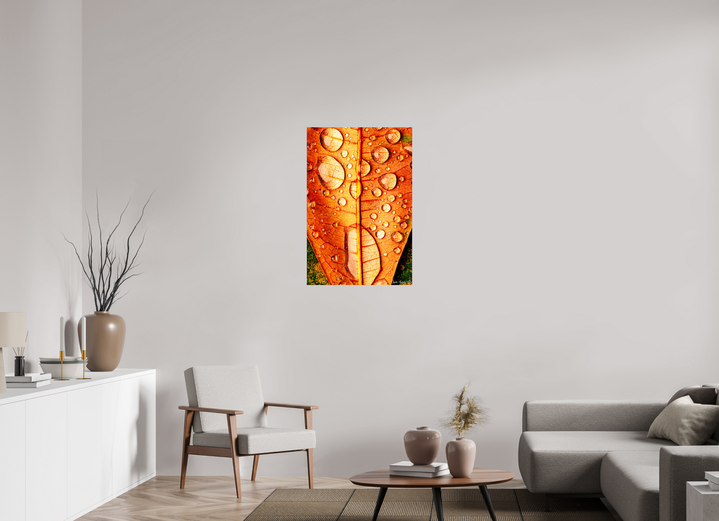 24 x 36″, Glossy Metal Transparency