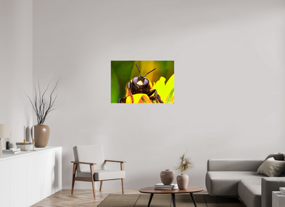 36 x 24″, Glossy Canvas The Curious Bumblebee