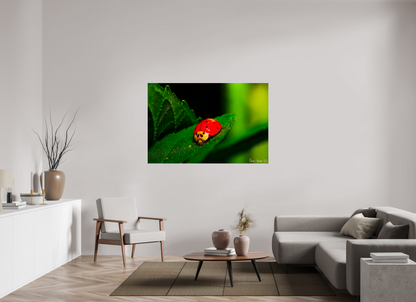 60 x 40″, Acrylic Our Lady Bird