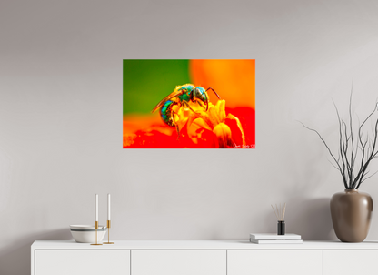 30 x 20″, Glossy Canvas Salt Licker