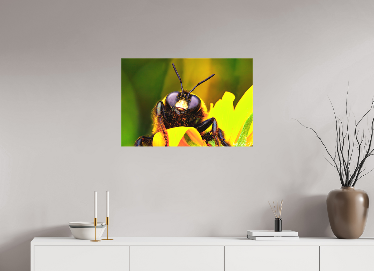 30 x 20″, Matte Canvas The Curious Bumblebee