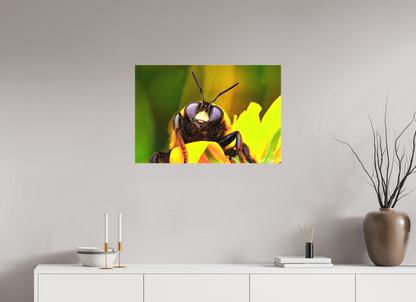 30 x 20″, Matte Canvas The Curious Bumblebee