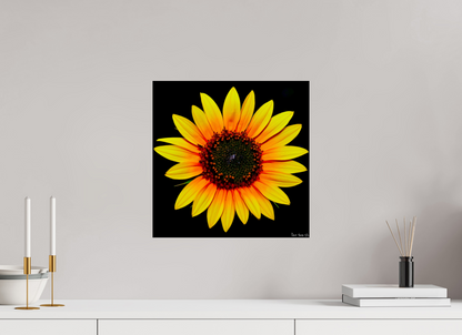 15 x 15″, Glossy Metal Nana’s Sunflower