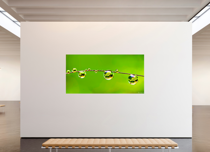 94 x 47″, Glossy Metal Refraction