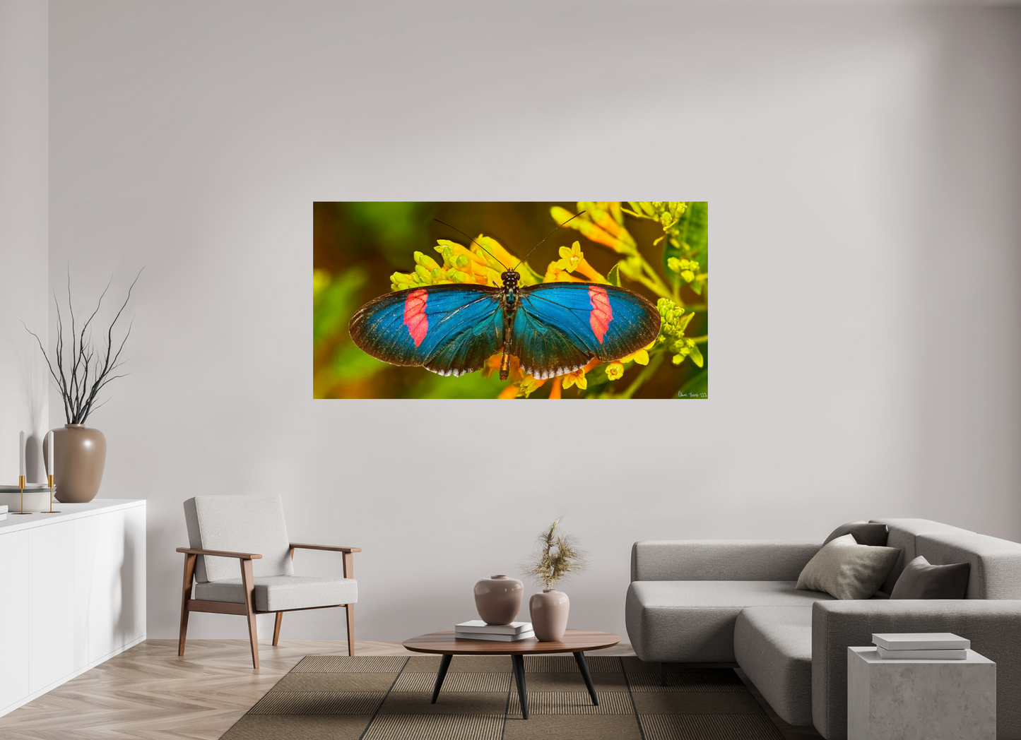 78 x 39″, Photo Print on Aluminum Backing Racing Stripes