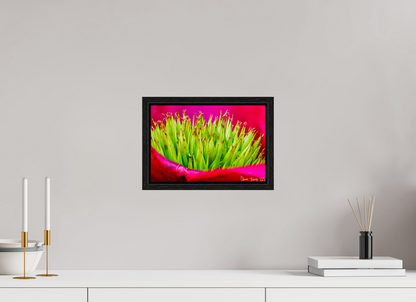 12 x 8″, Floater Frame Black Oak Spiked