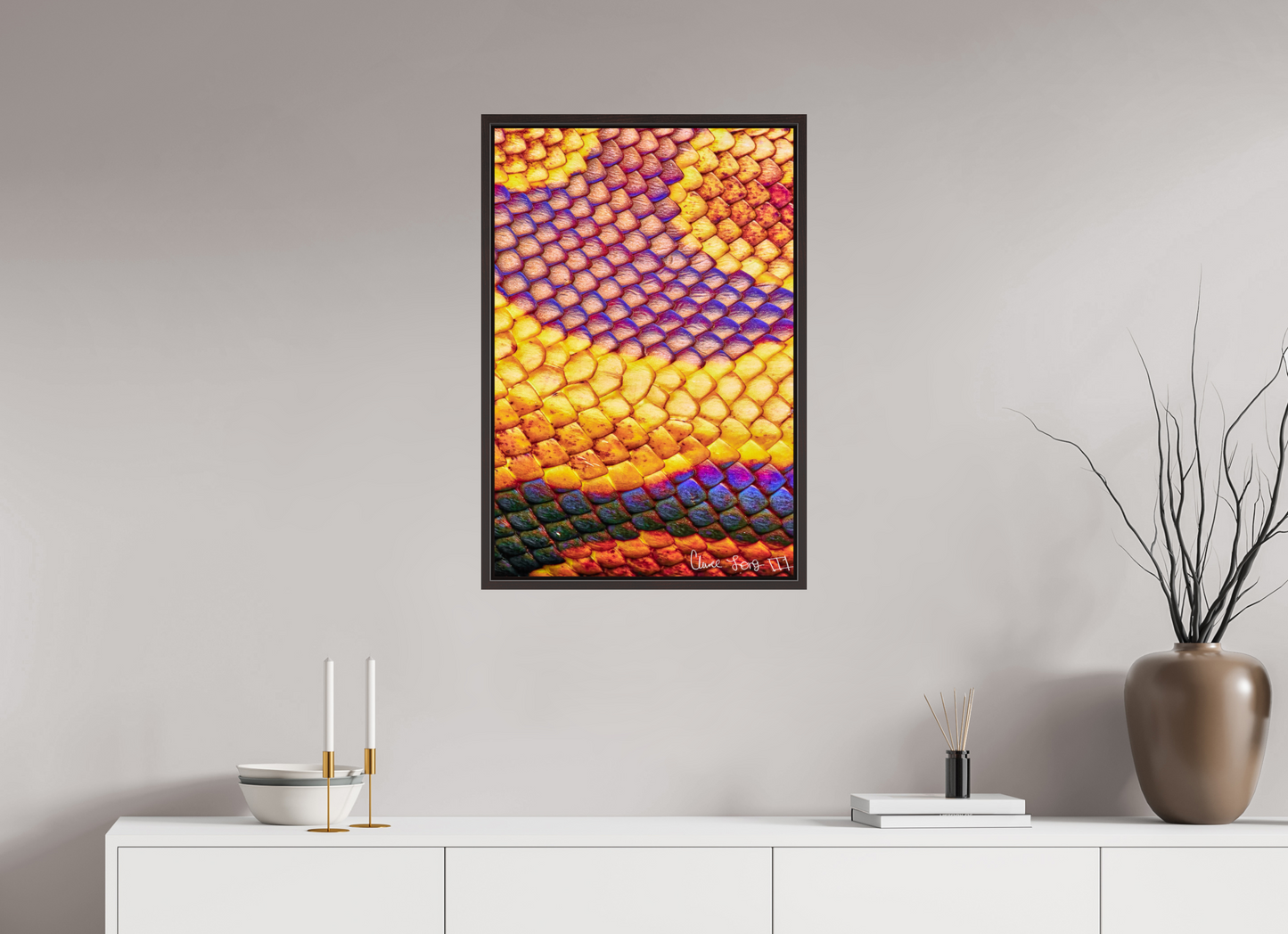 20 x 30″, Floater Frame Alder Brown Python’s Iridescence