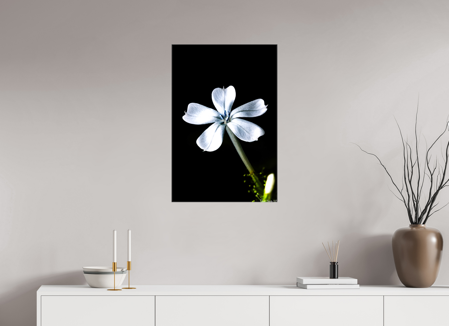 20 x 30″, Glossy Canvas Silver Petals