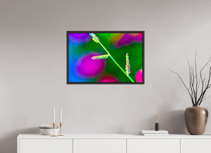 30 x 20″, Floater Frame Alder Brown Technicolor Vibes