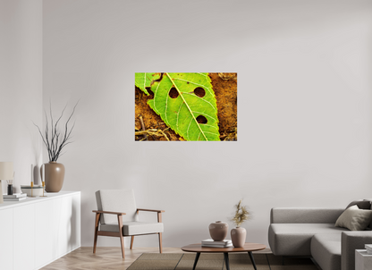 45 x 30″, Glossy Metal Flabbergasted