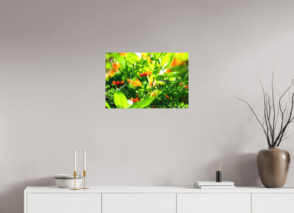 24 x 16″, Matte Canvas Prominence