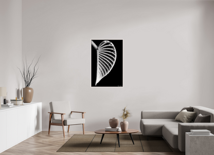 30 x 45″, Floater Frame Maple White Onyx Organ
