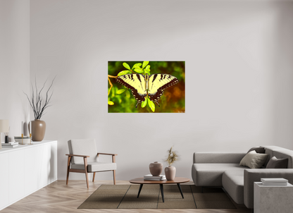 54 x 36″, Glossy Canvas Angel's Landing