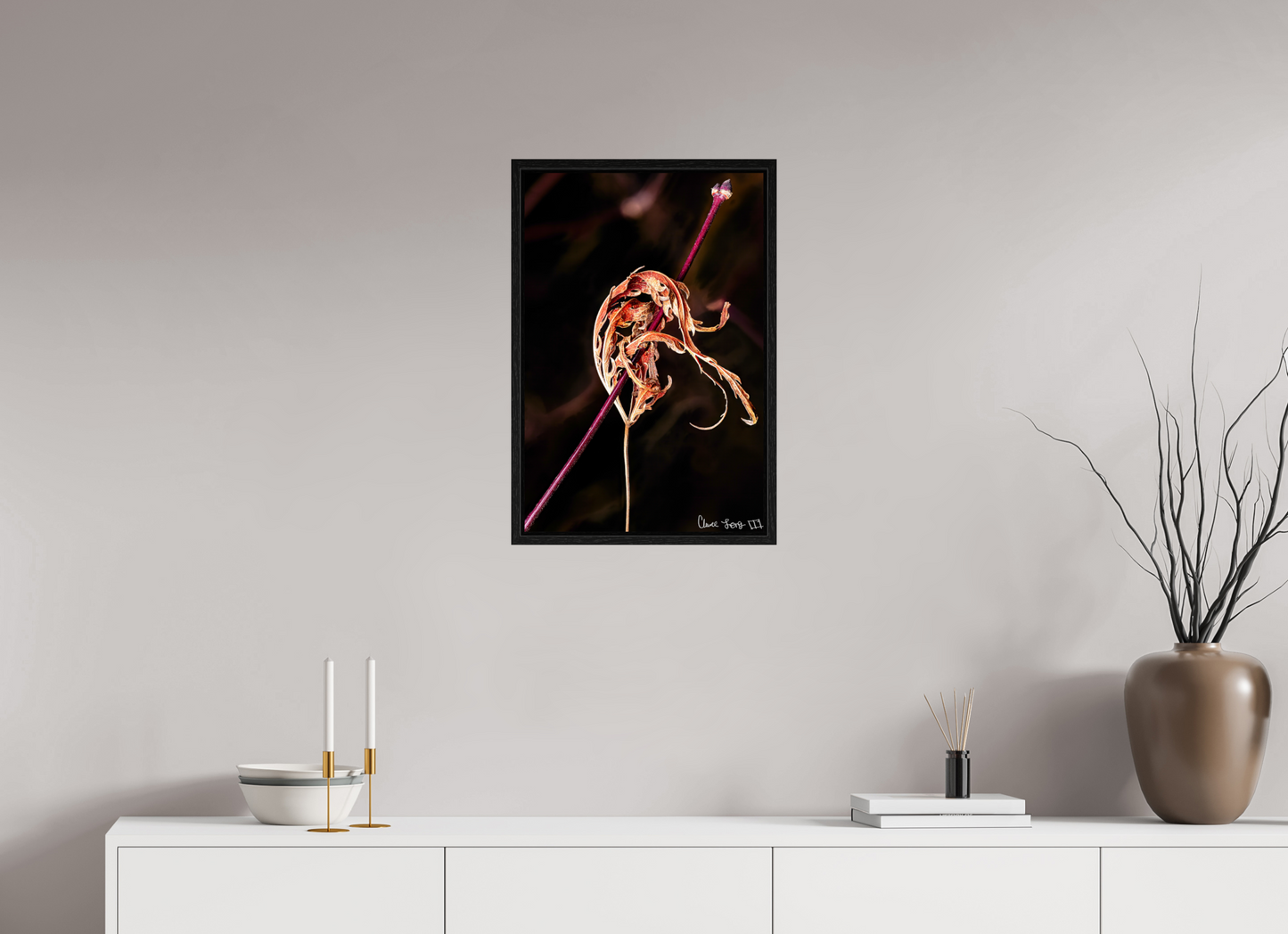 16 x 24″, Floater Frame Black Oak Impaled