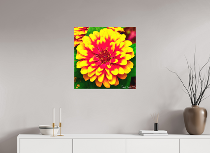 25 x 25″, Matte Canvas Radiance