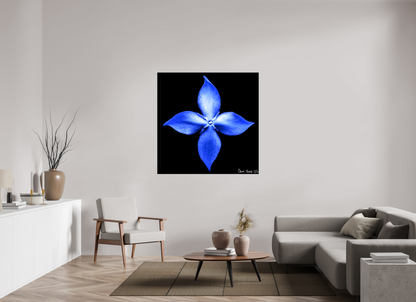 50 x 50″, Glossy Canvas Halcyon Compass