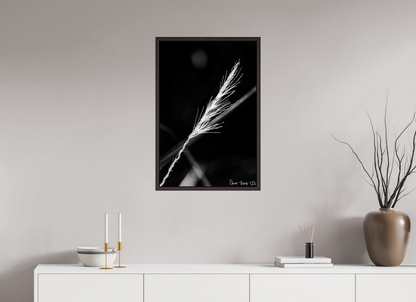 20 x 30″, Floater Frame Alder Brown Frayed