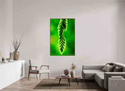 40 x 60″, Floater Frame Natural Oak Harmonic Trinity