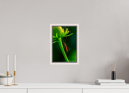 8 x 12″, Floater Frame Maple White Reaching the Apex