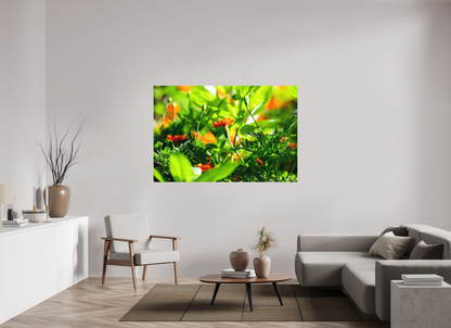 66 x 44″, Matte Metal Prominence