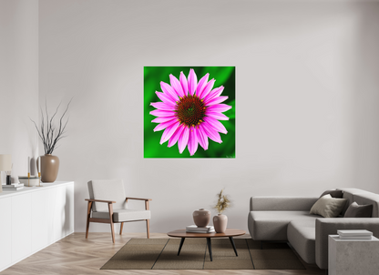 50 x 50″, Matte Metal Icosidigon