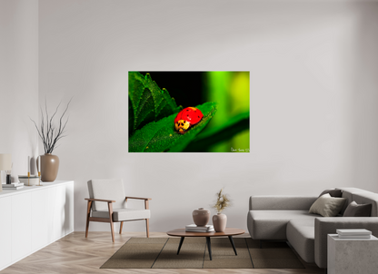 66 x 44″, Glossy Canvas Our Lady Bird